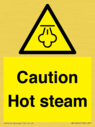 caution-hot-steam~